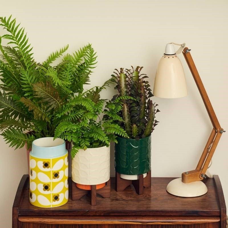 Wild Rose Stem Utensil Pot in dandelion