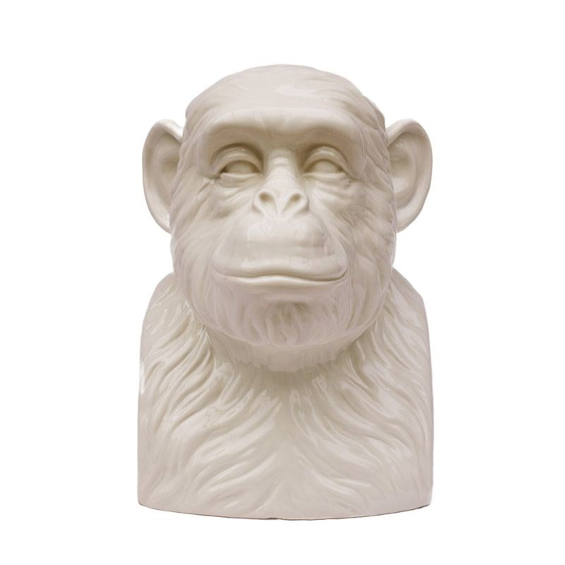 Chimp Tidy