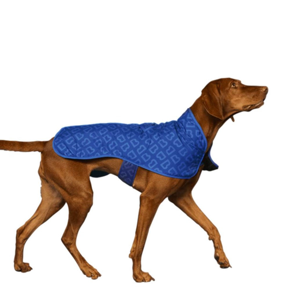 Blunt Monogram Dog Jacket in Puddle Blue - Large