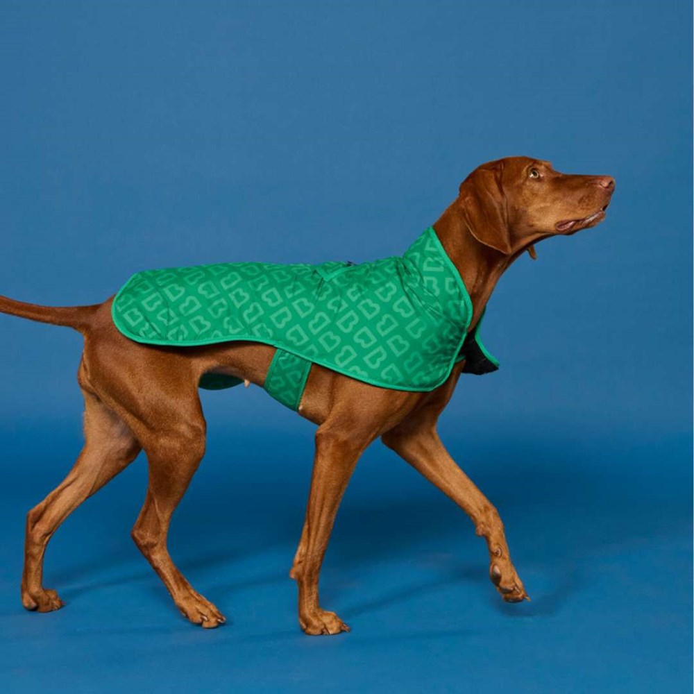 Blunt Monogram Dog Jacket in Park Green - Large