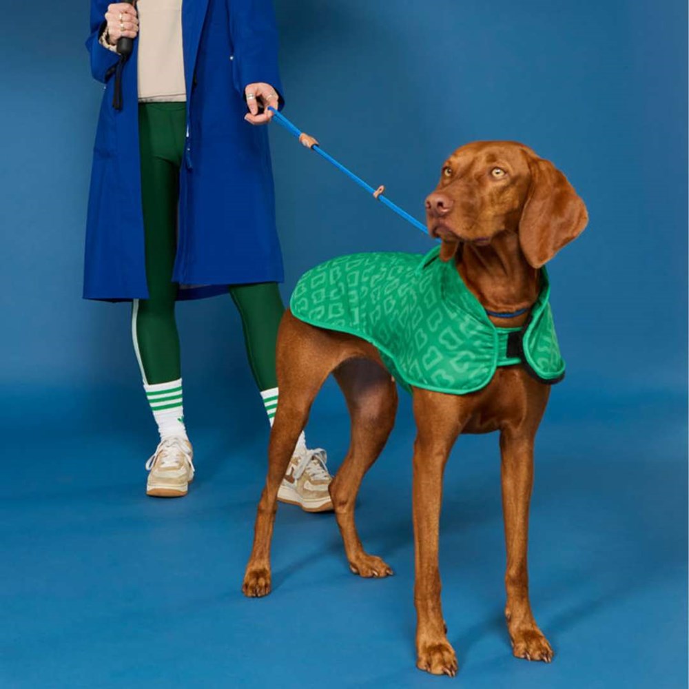Blunt Monogram Dog Jacket in Park Green - Large