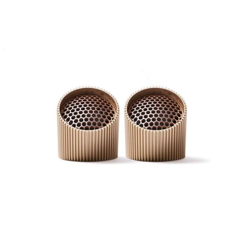 Ray Speaker Set in vivid gold