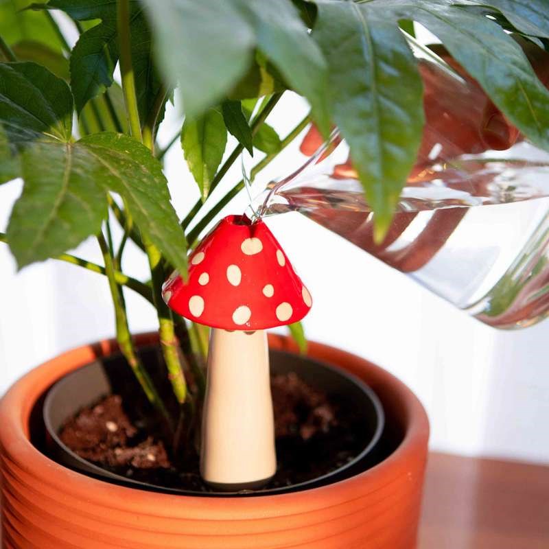 Amanita Watering System