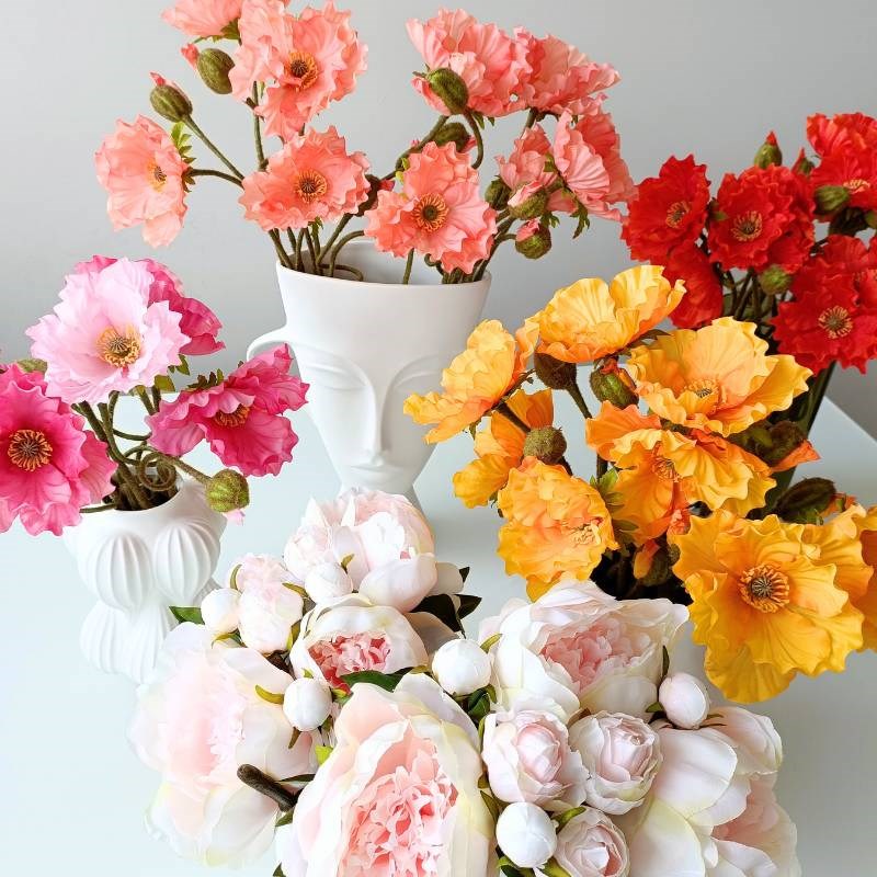 Iceland Poppy in peach