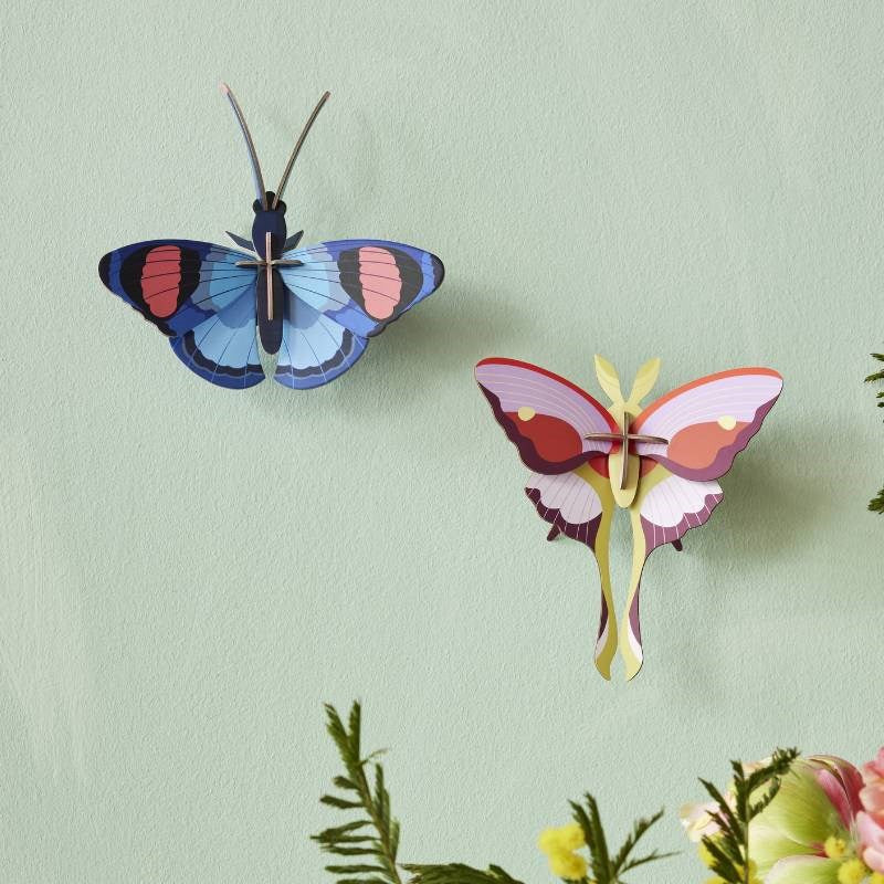 Wall Art Butterflies - Peacock Butterfly