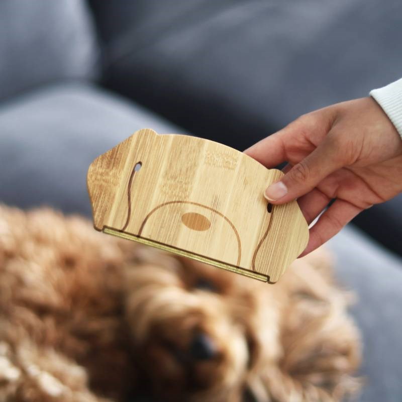 Pet Hair Remover - dog
