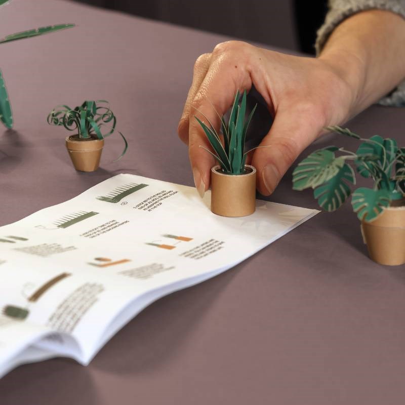 Paper Plants