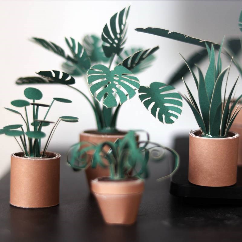 Paper Plants