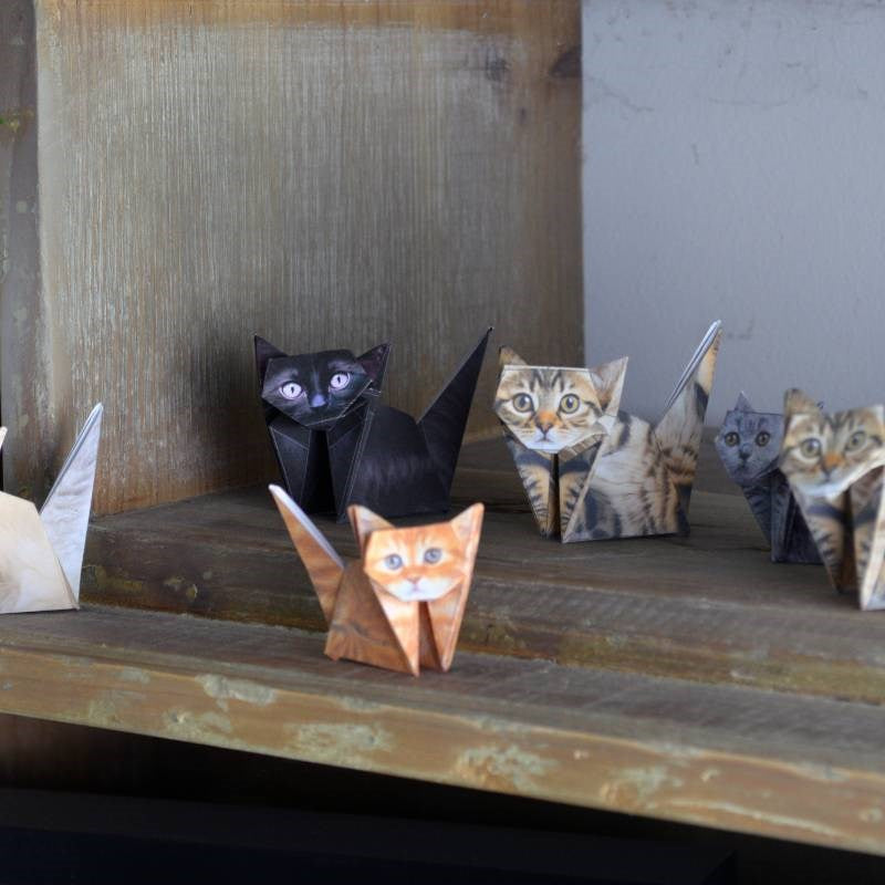 Paper Cats