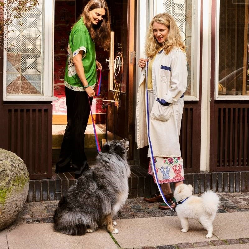 Flat Dog Collar, size S/M, in blue and off-white