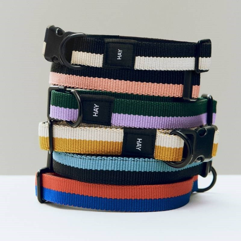 Flat Dog Collar, size S/M, in off-white and ochre