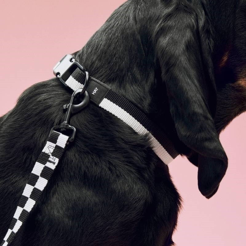 Flat Dog Collar, size M/L, in black and white