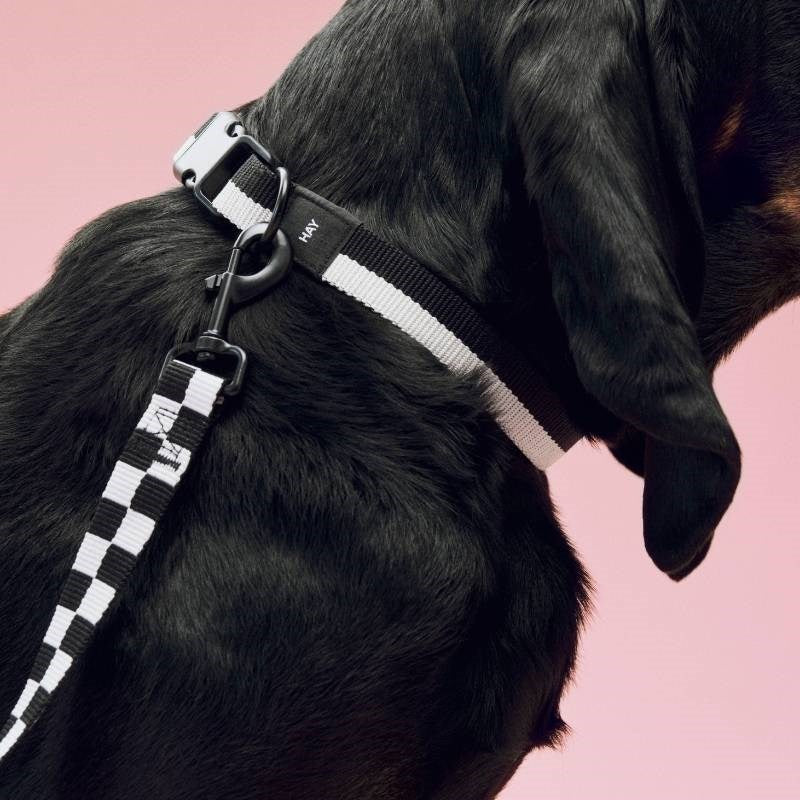Flat Dog Leash in black and white check