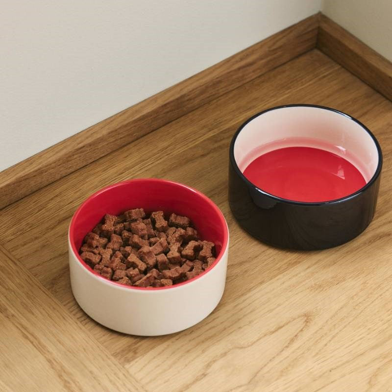 Dog Bowl, small, in red and blue