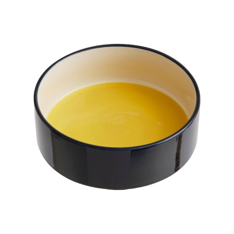 Dog Bowl, large, in yellow and blue, with yellow base