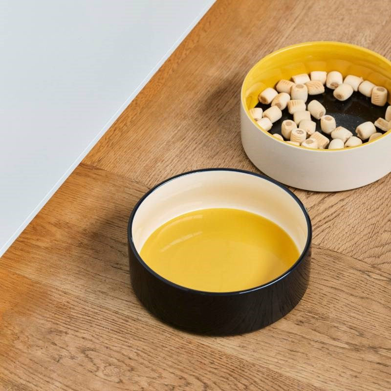 Dog Bowl, large, in yellow and blue, with yellow base