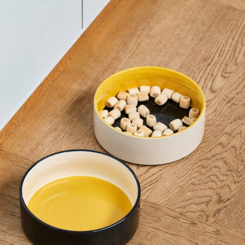 Dog Bowl, large, in blue and yellow, with blue base
