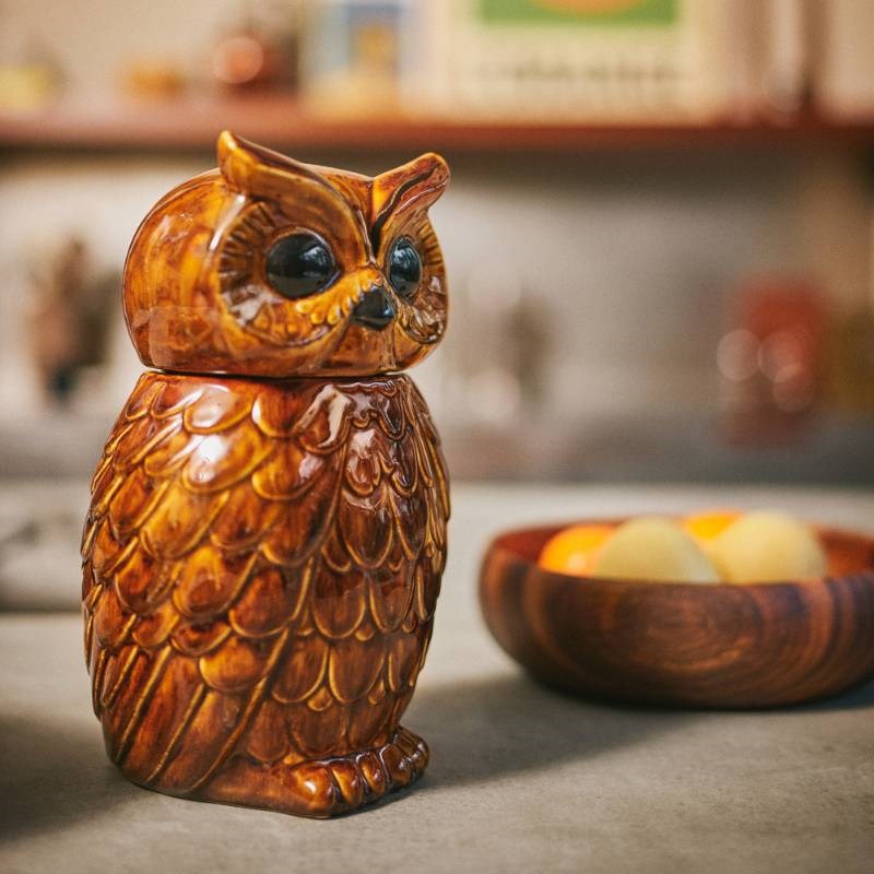 Ceramic Owl Jar