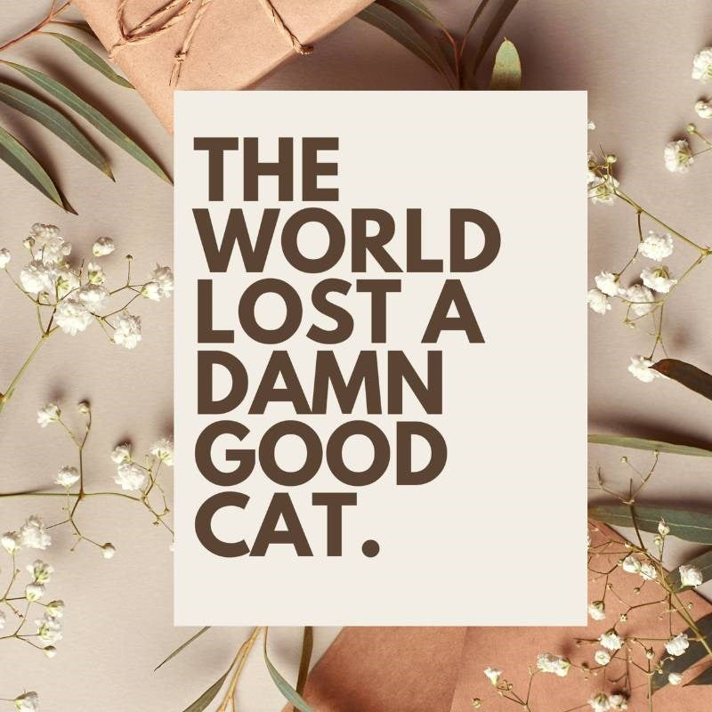 Cat Loss Card Pet Sympathy Card