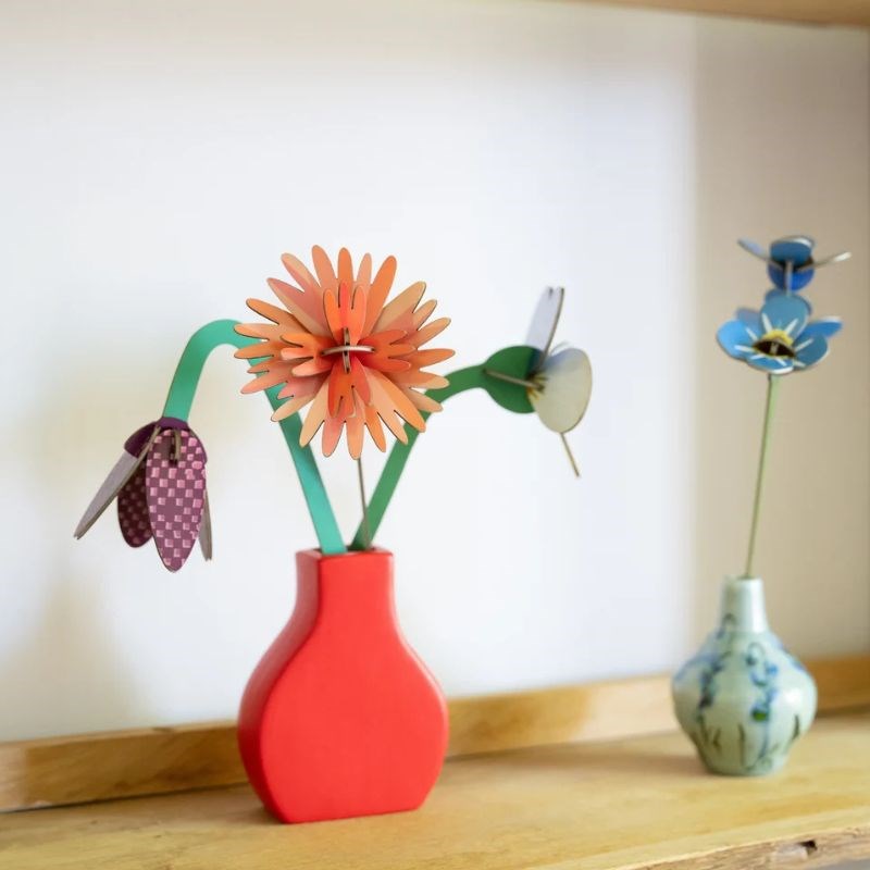 Everlasting Flower, orange dahlia