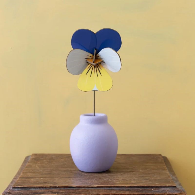 Everlasting Flower, wild pansy