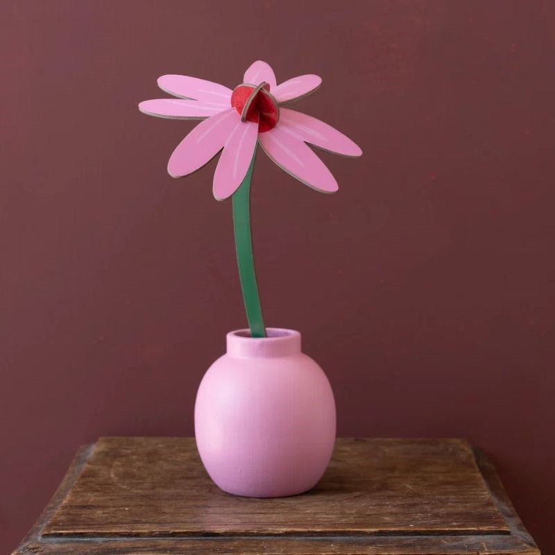 Everlasting Flower, pink coneflower