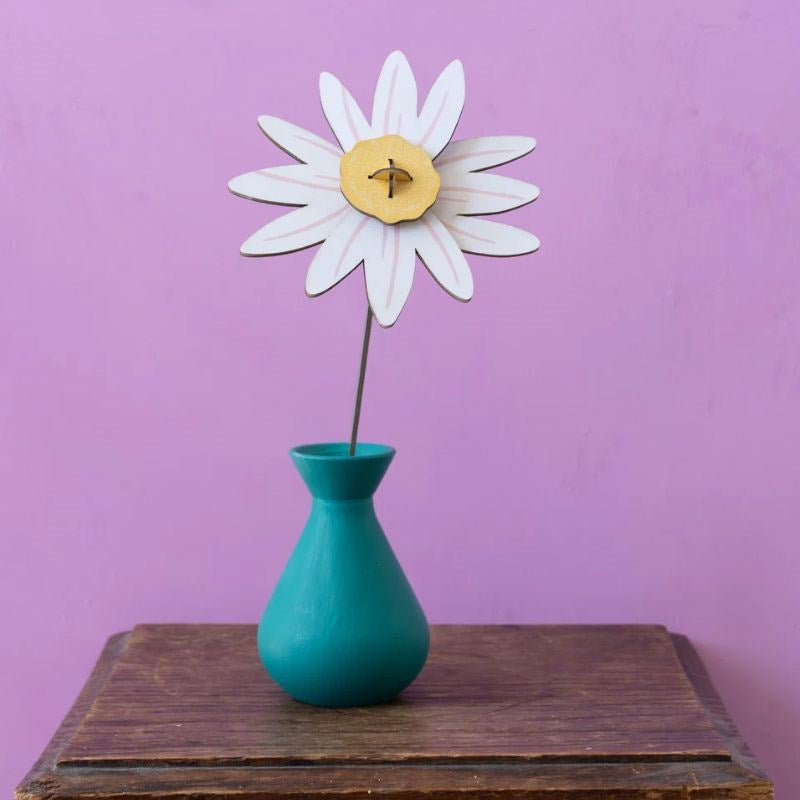Everlasting Flower, meadow daisy