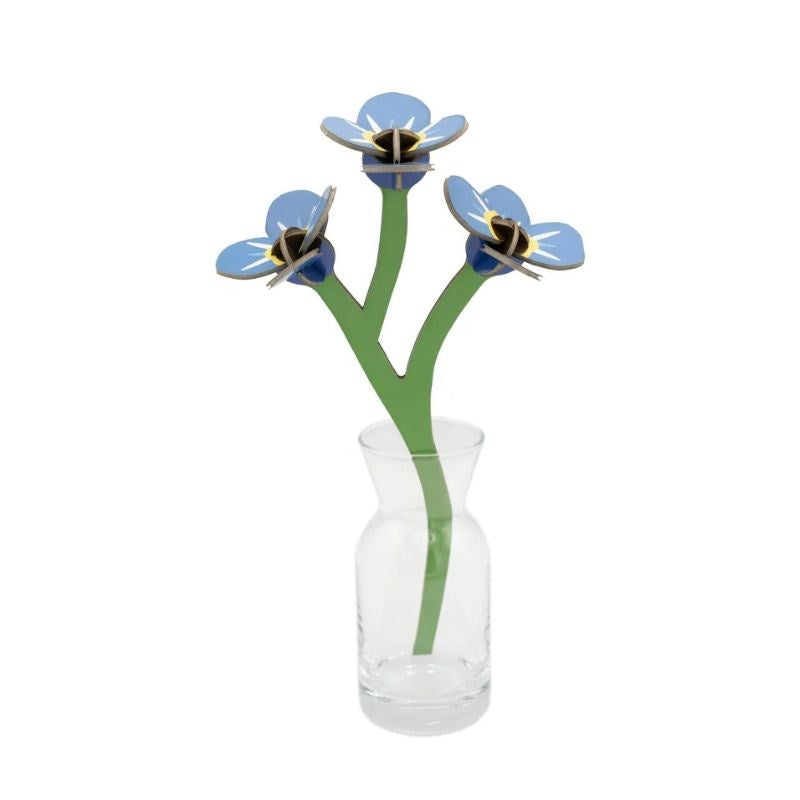 Everlasting Flower, forget me not