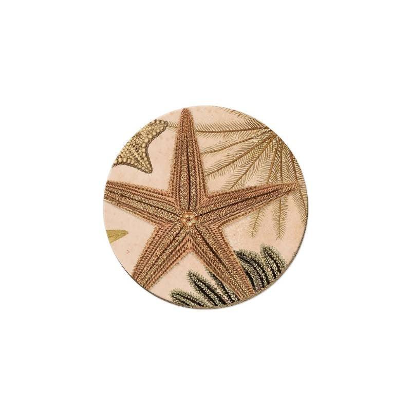 Patangaroa Coaster - Bolt of Cloth - Wolfkamp & Stone