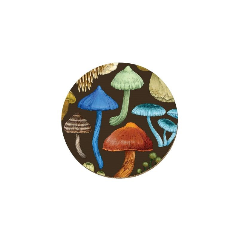 Fungi Entoloma Coaster
