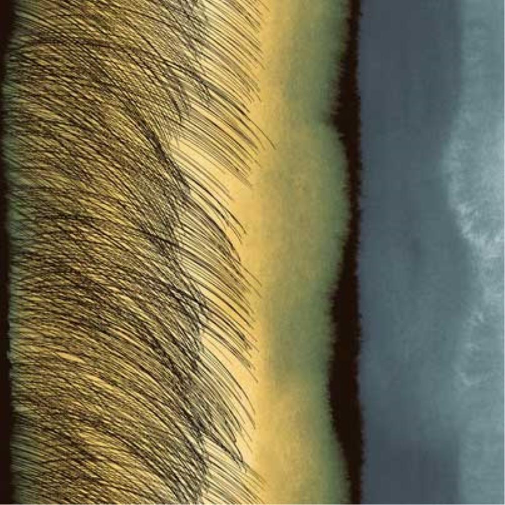 Kuuskajaskari Linen in grey, yellow, black - Bolt of Cloth - Marimekko