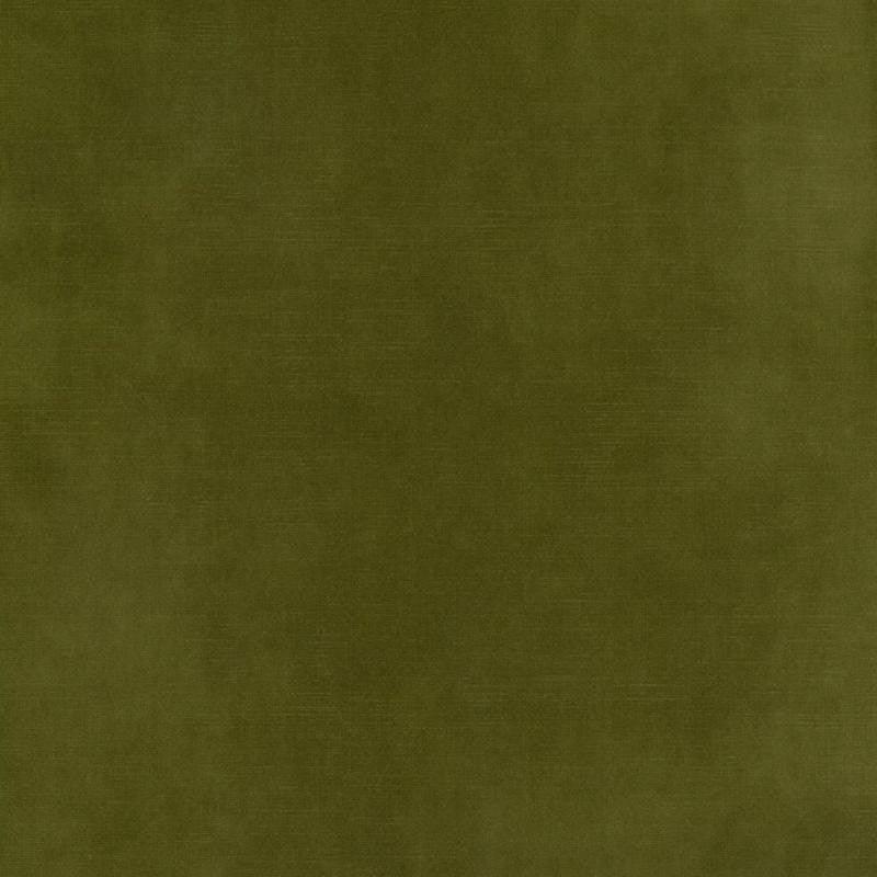 Lovely Velvet in moss - Bolt of Cloth - Warwick