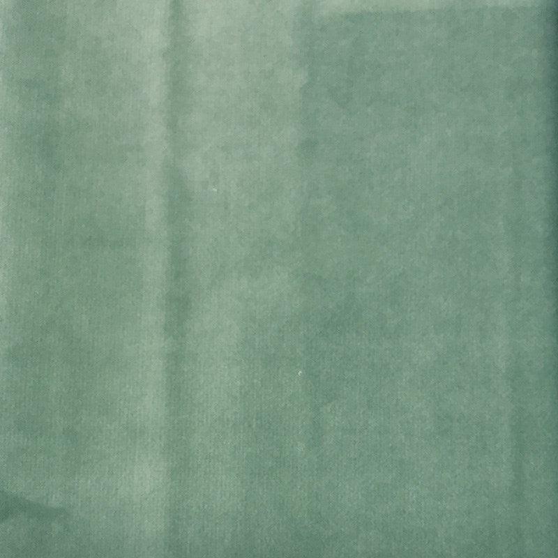 Plush Velvet in eucalyptus - Bolt of Cloth - Warwick